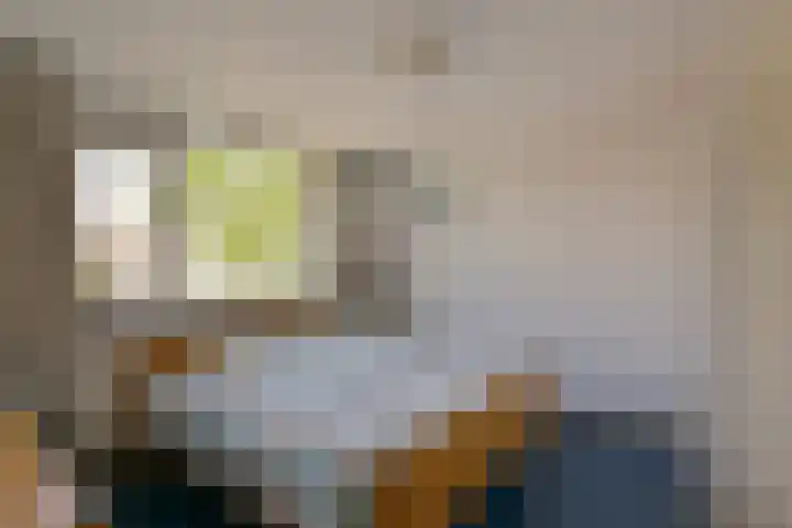 Boeier 29 Hoorn thumbnail 17