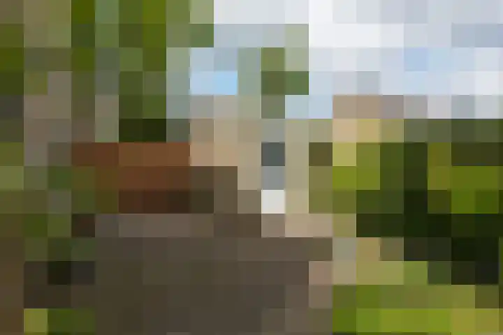 Boeier 29 Hoorn thumbnail 28