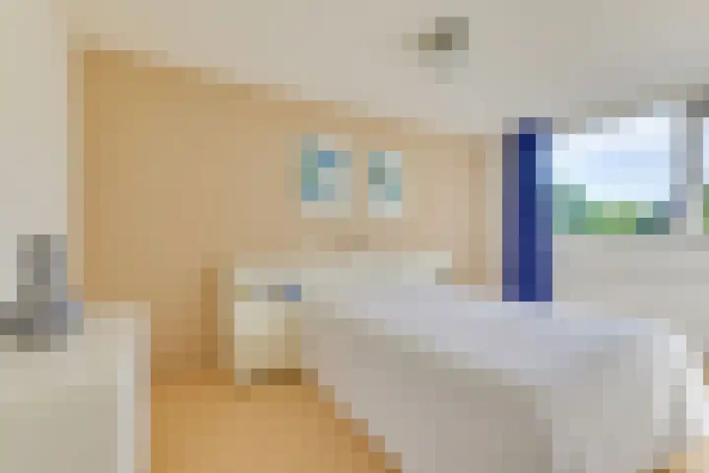 Boeier 30 Hoorn thumbnail 28
