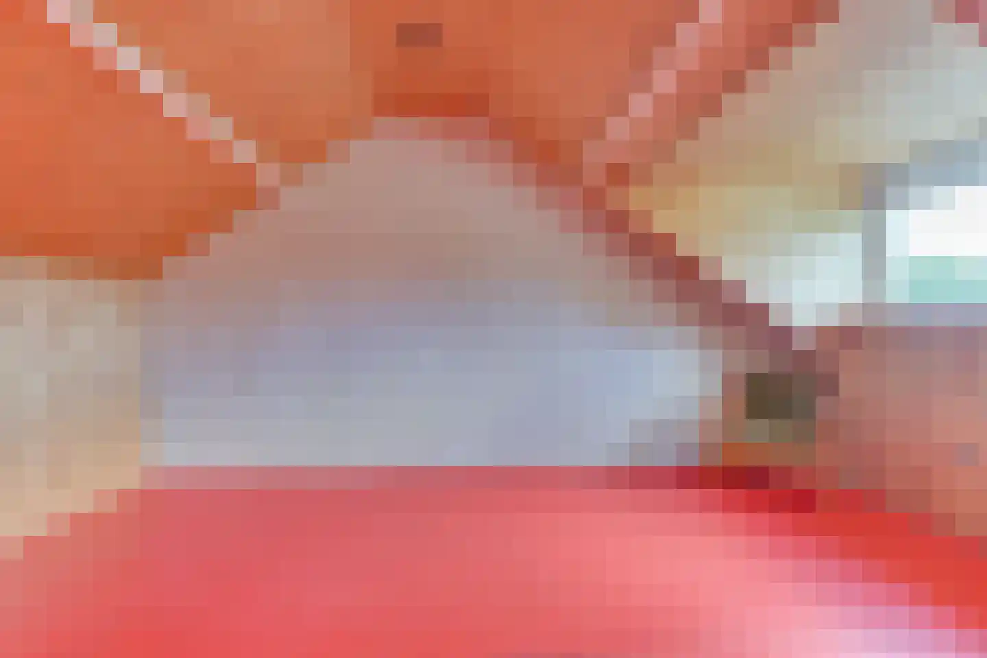 Boeier 30 Hoorn thumbnail 33