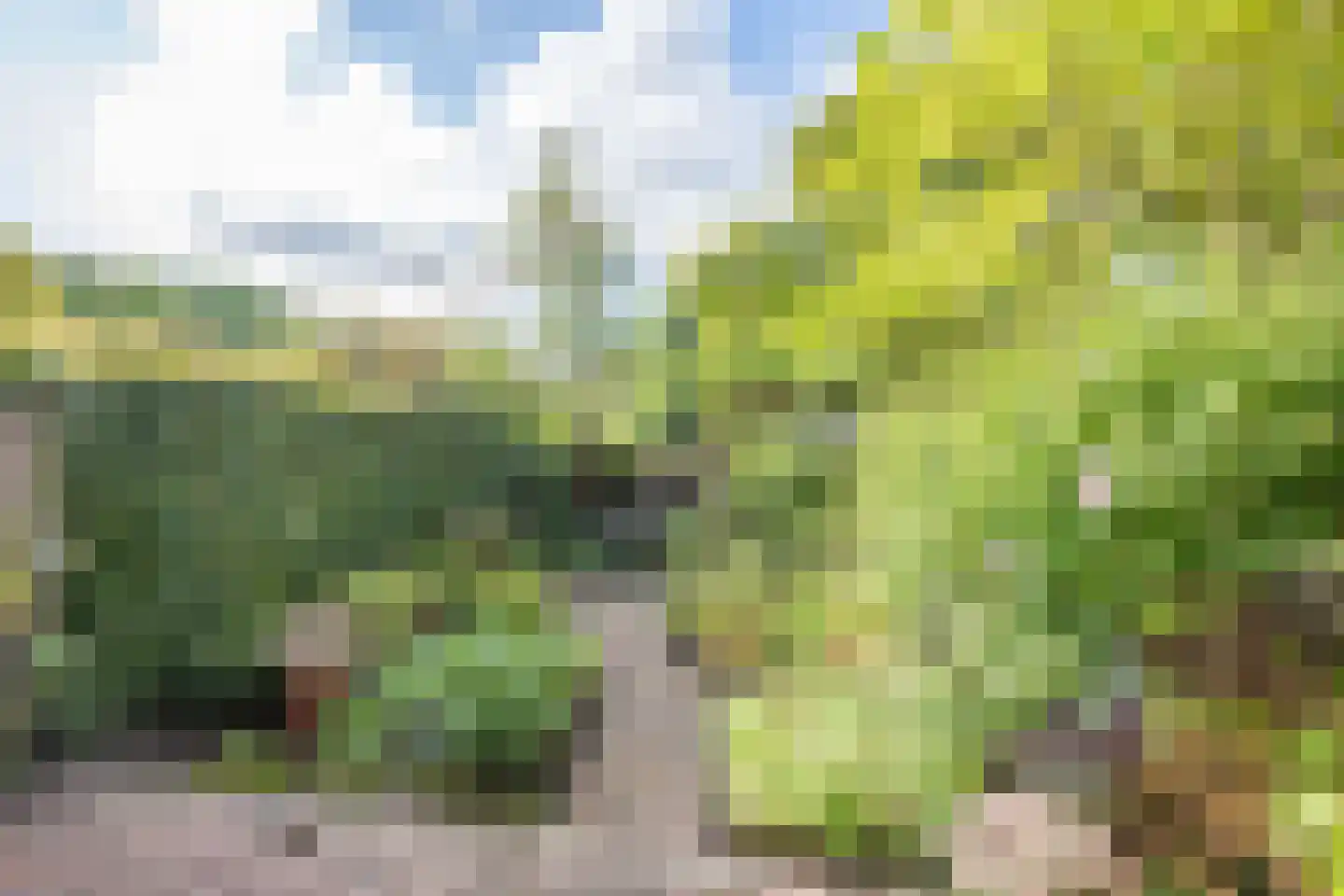Boeier 30 Hoorn thumbnail 37