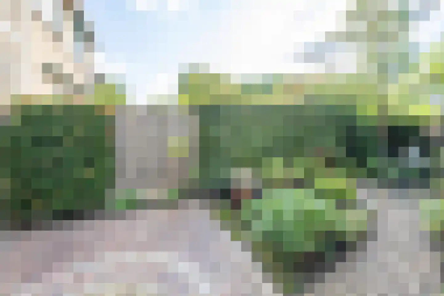 Boeier 30 Hoorn thumbnail 43
