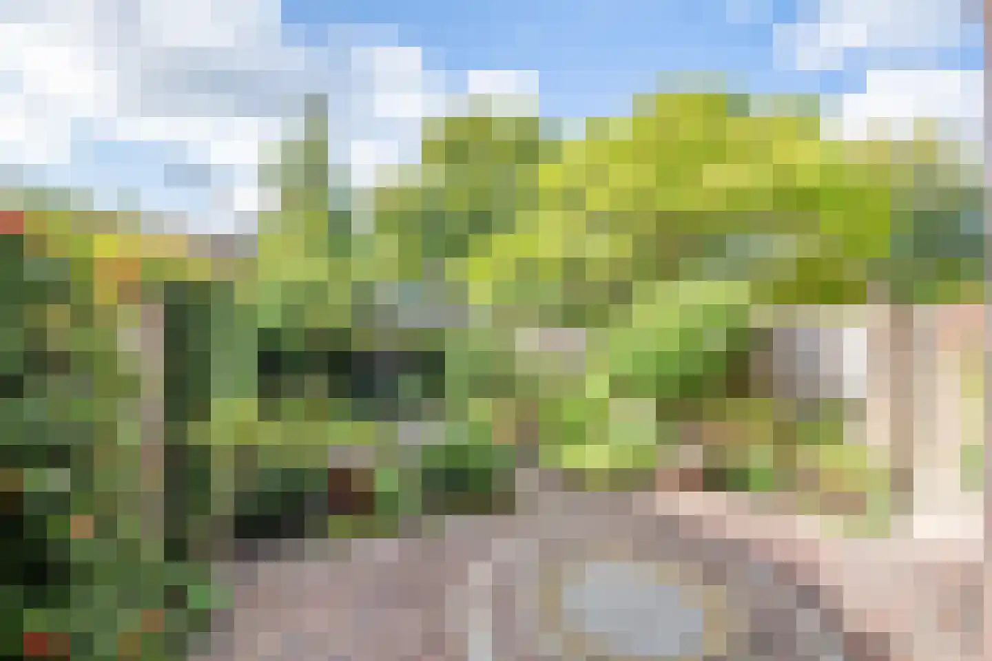 Boeier 30 Hoorn thumbnail 6