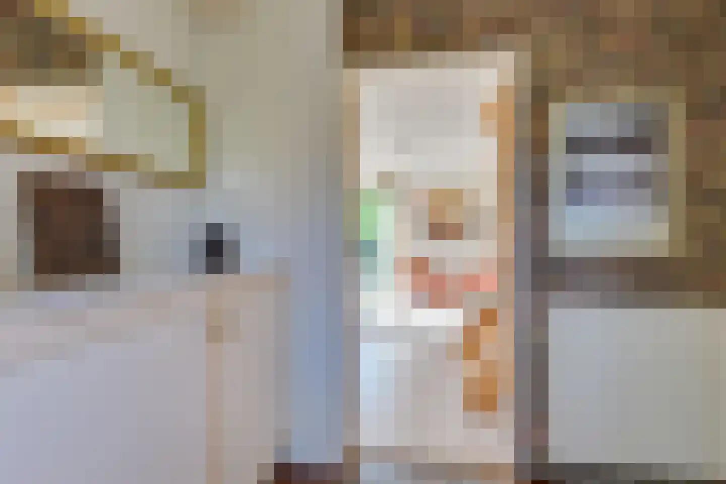 Boeier 30 Hoorn thumbnail 8