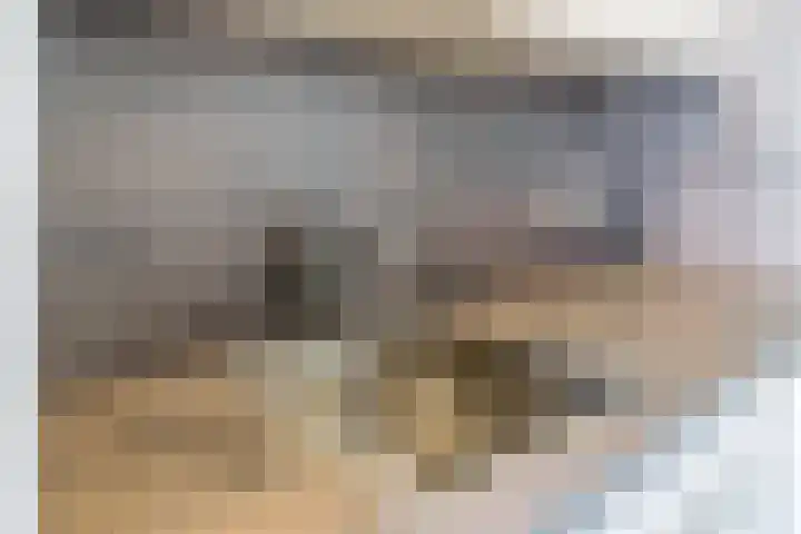 Boeier 32 Maassluis thumbnail 12