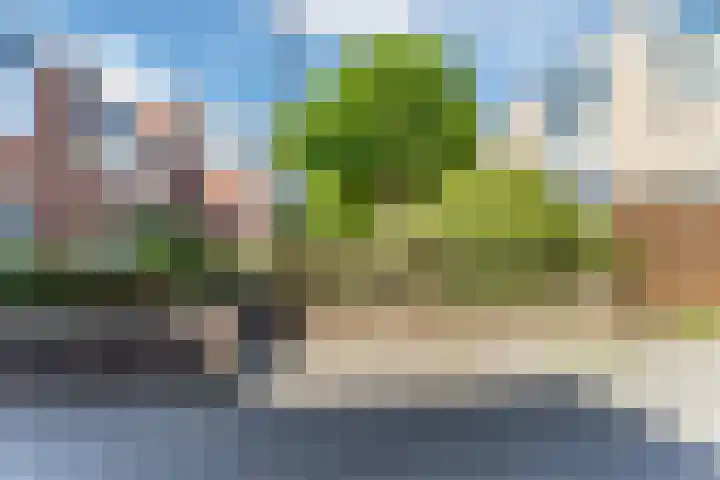 Boeier 32 Maassluis thumbnail 22