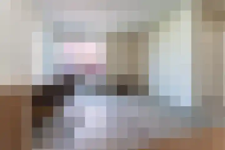 Boeier 32 Maassluis thumbnail 8
