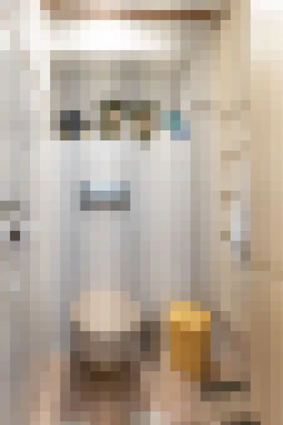 Boeier 32 Wieringerwerf thumbnail 13