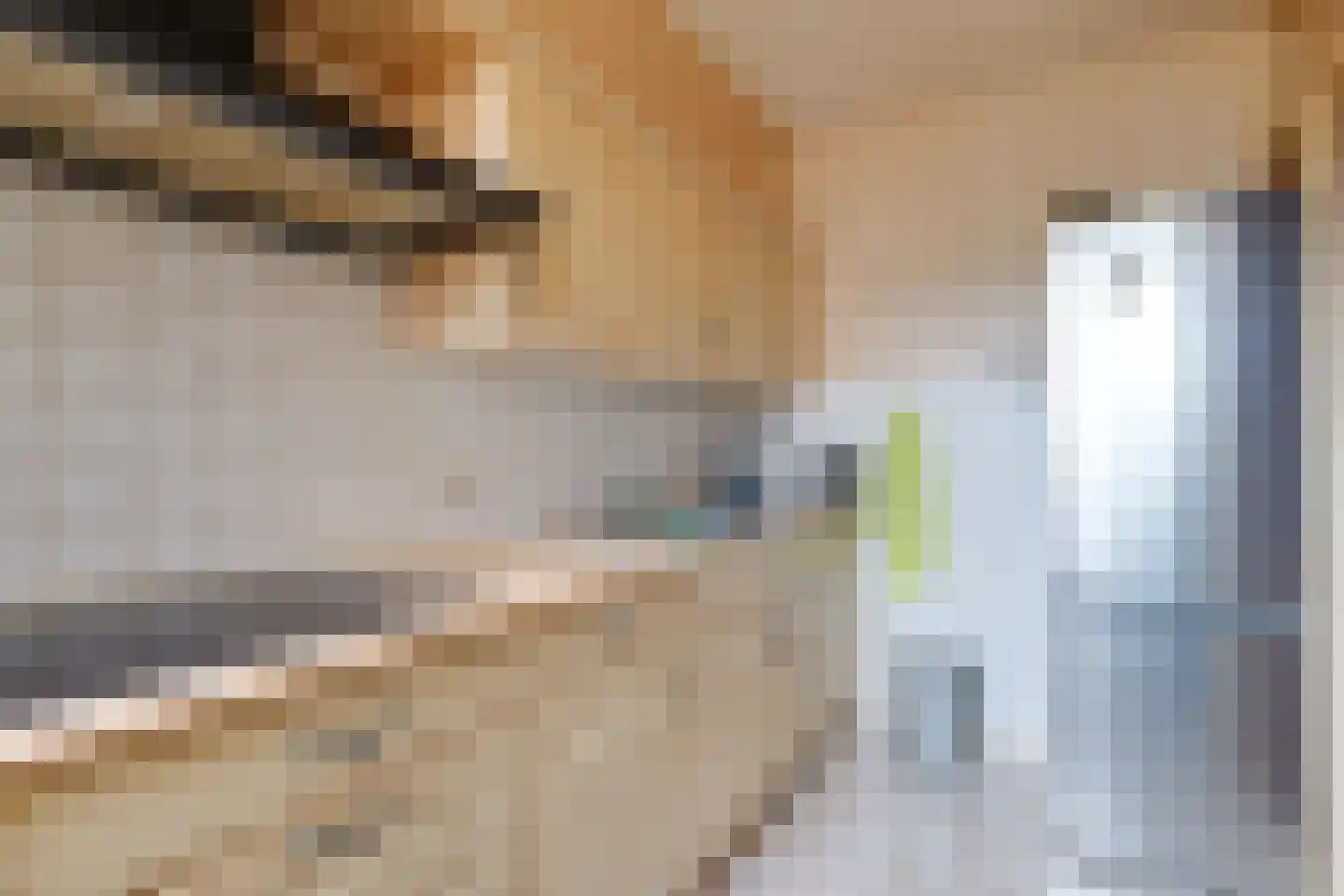 Boeier 32 Wieringerwerf thumbnail 28