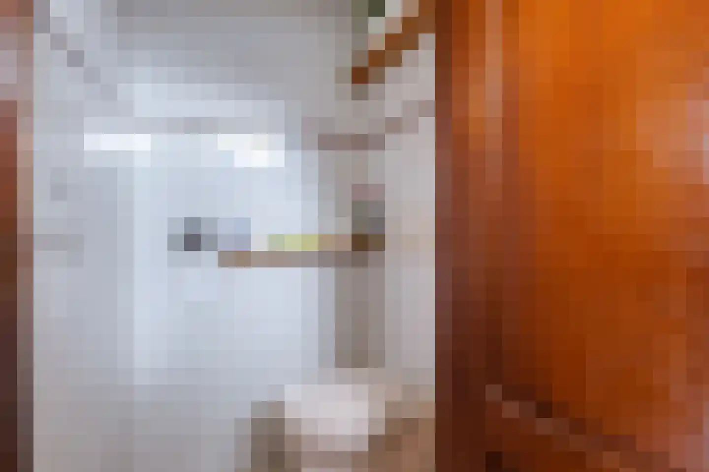 Boeier 32 Wieringerwerf thumbnail 40