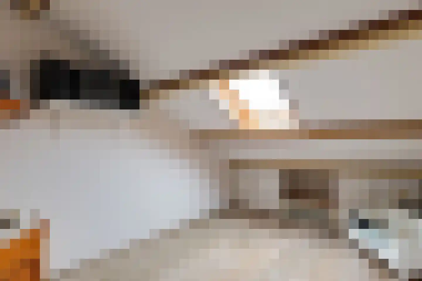 Boeier 32 Wieringerwerf thumbnail 41