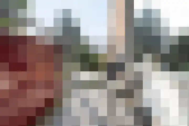 Boeier 34 Maassluis thumbnail 10