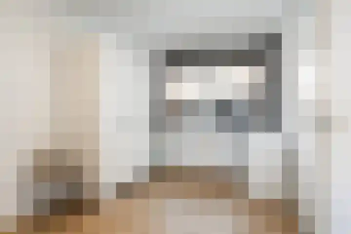 Boeier 34 Maassluis thumbnail 16