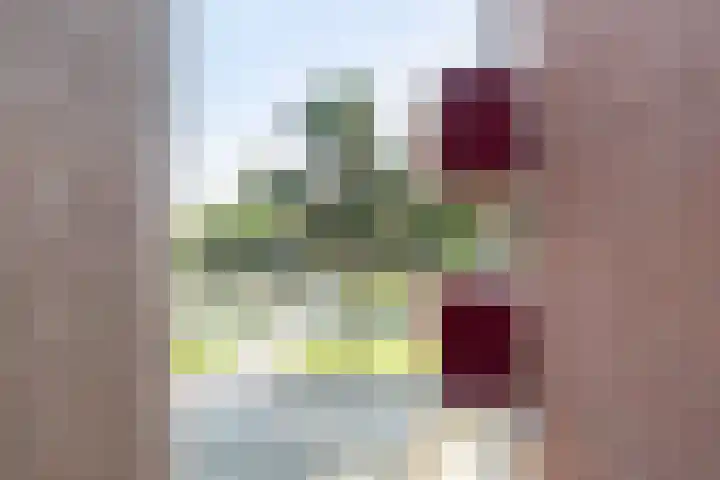 Boeier 34 Maassluis thumbnail 21