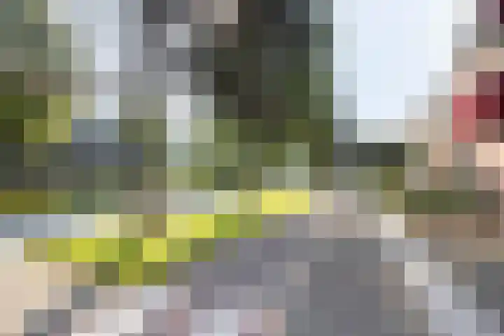 Boeier 34 Maassluis thumbnail 24