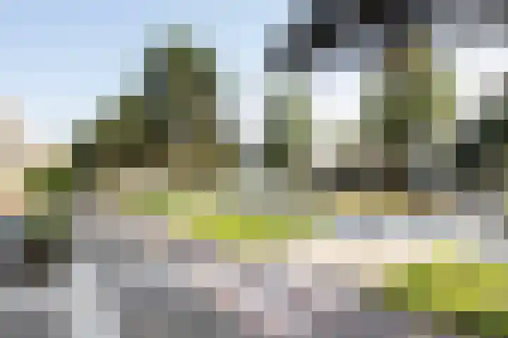 Boeier 34 Maassluis thumbnail 25