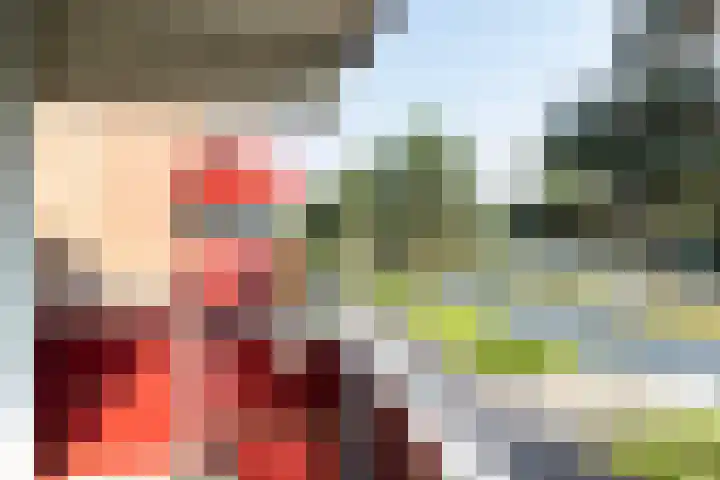 Boeier 34 Maassluis thumbnail 7