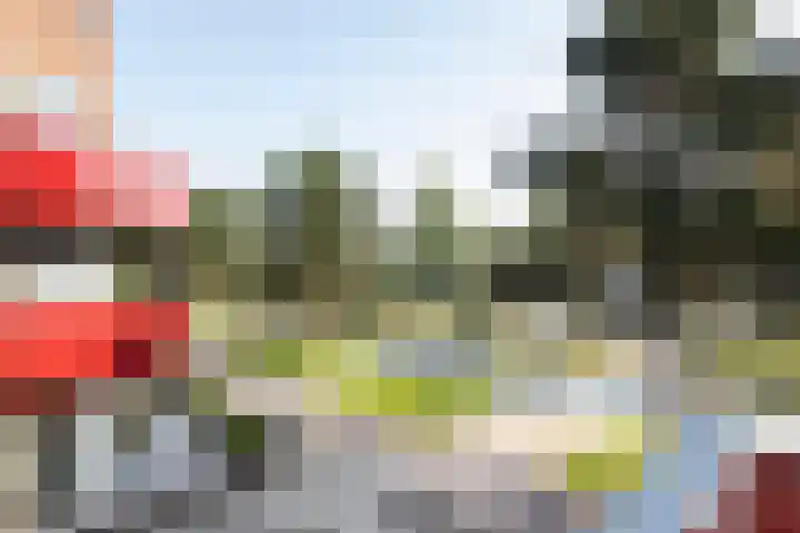 Boeier 34 Maassluis thumbnail 8