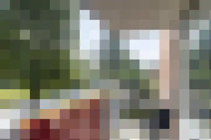 Boeier 34 Maassluis thumbnail 9