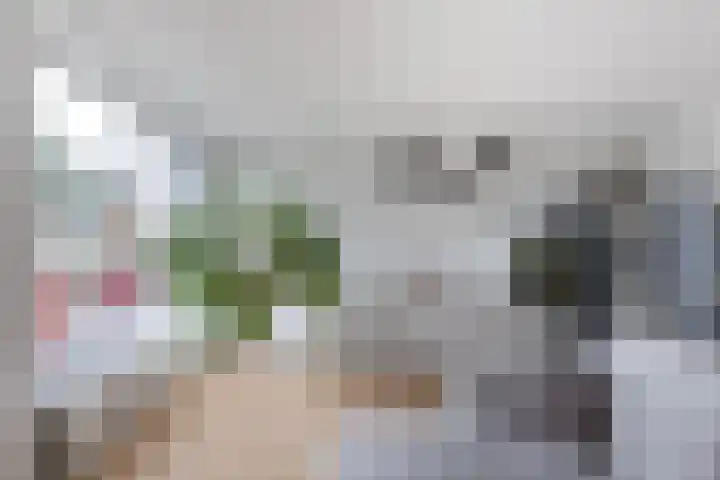 Boeier 37 Maassluis thumbnail 13