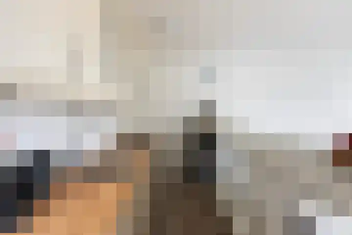 Boeier 37 Maassluis thumbnail 16