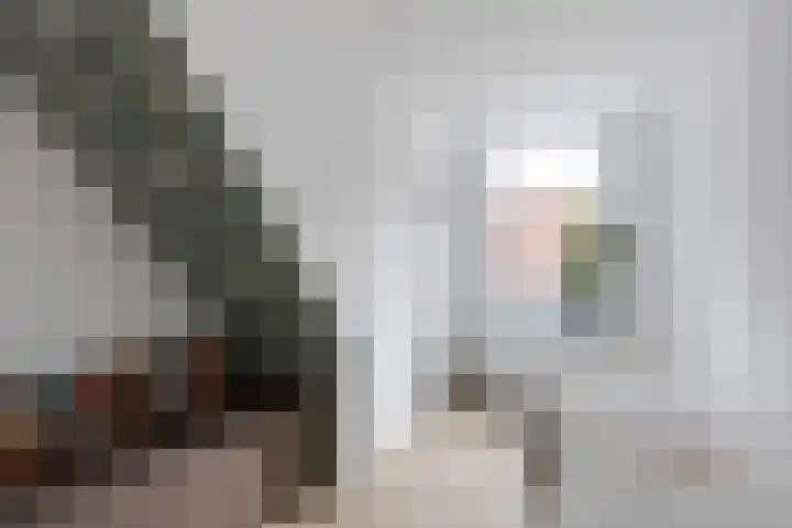 Boeier 37 Maassluis thumbnail 25