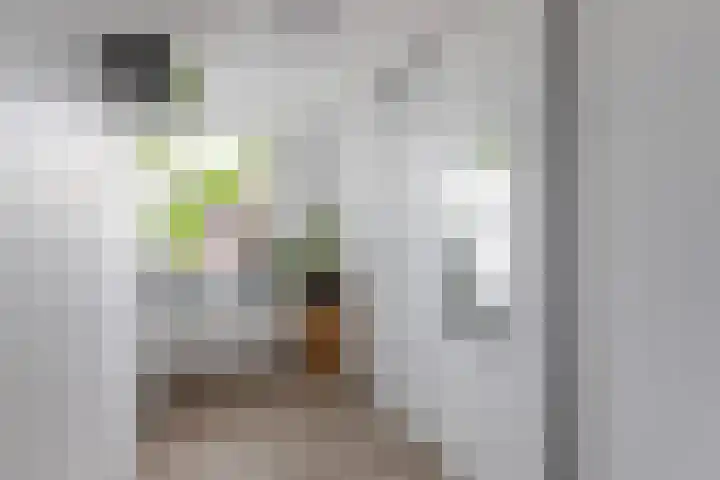 Boeier 37 Maassluis thumbnail 26