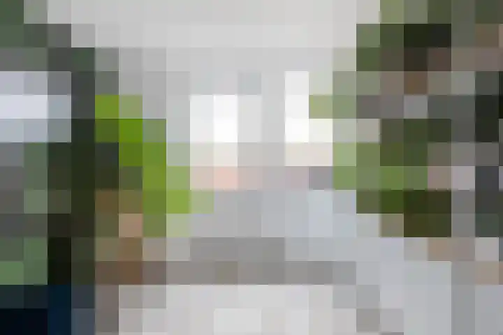 Boeier 37 Maassluis thumbnail 29