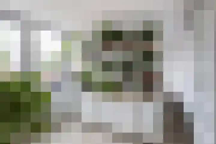 Boeier 37 Maassluis thumbnail 30