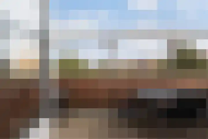 Boeier 37 Maassluis thumbnail 32