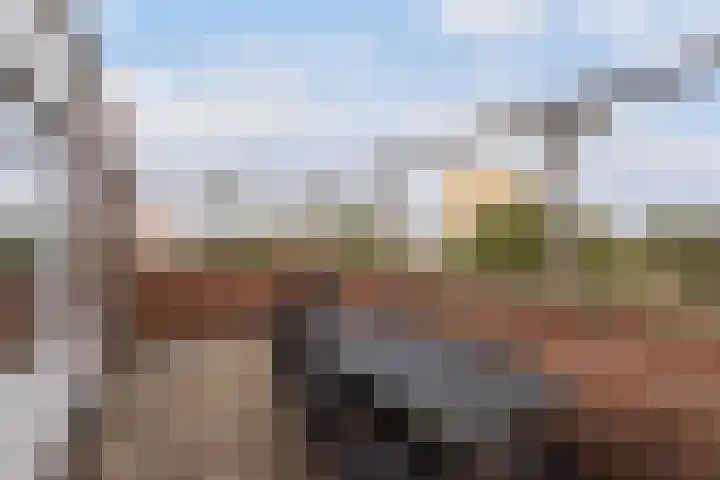 Boeier 37 Maassluis thumbnail 33
