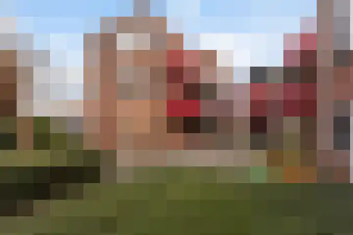 Boeier 37 Maassluis thumbnail 38