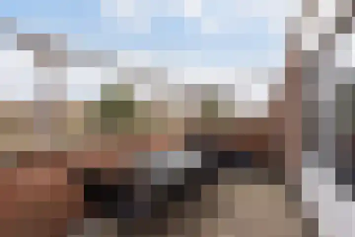 Boeier 37 Maassluis thumbnail 4
