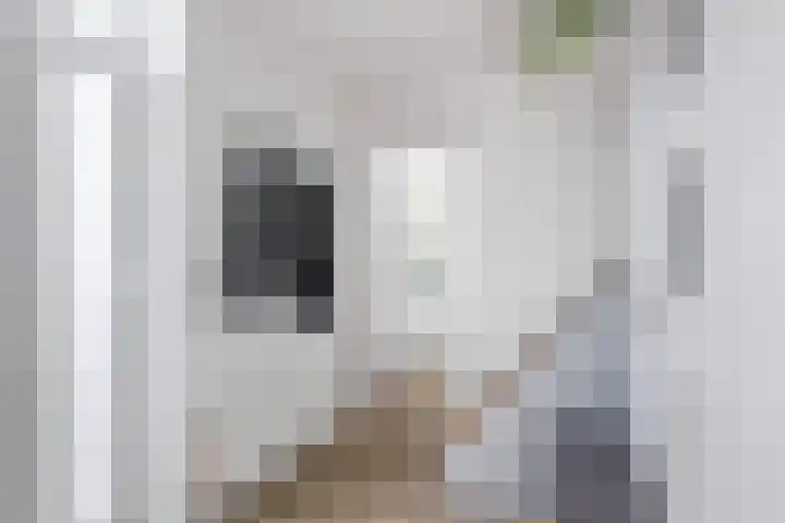 Boeier 37 Maassluis thumbnail 8