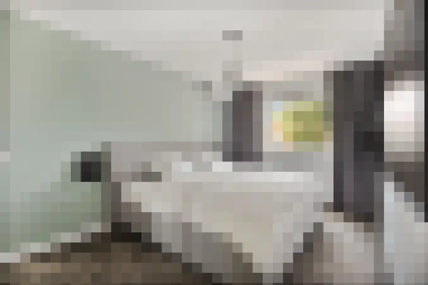 Boeier 43 Barendrecht thumbnail 10