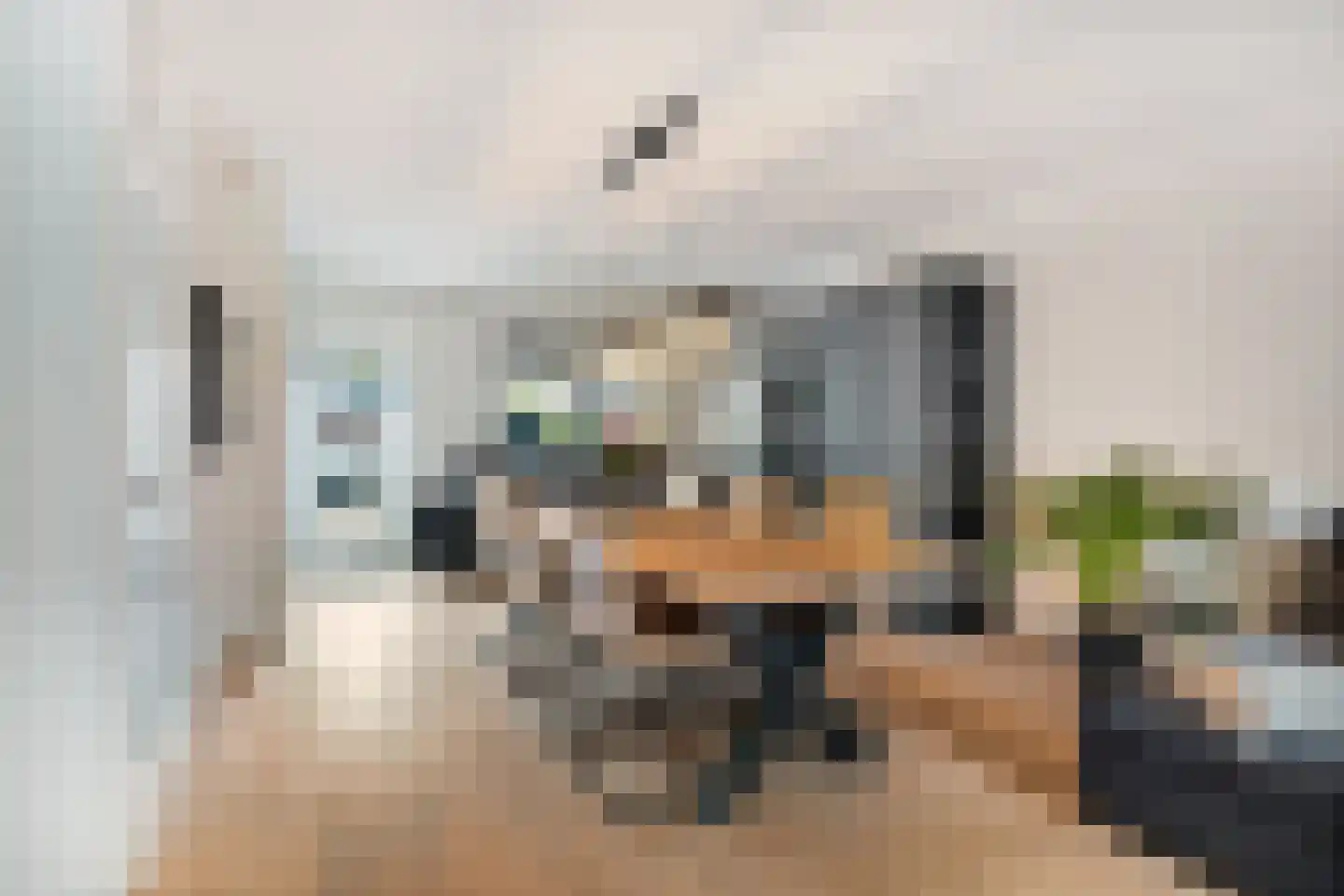 Boeier 43 Barendrecht foto 3