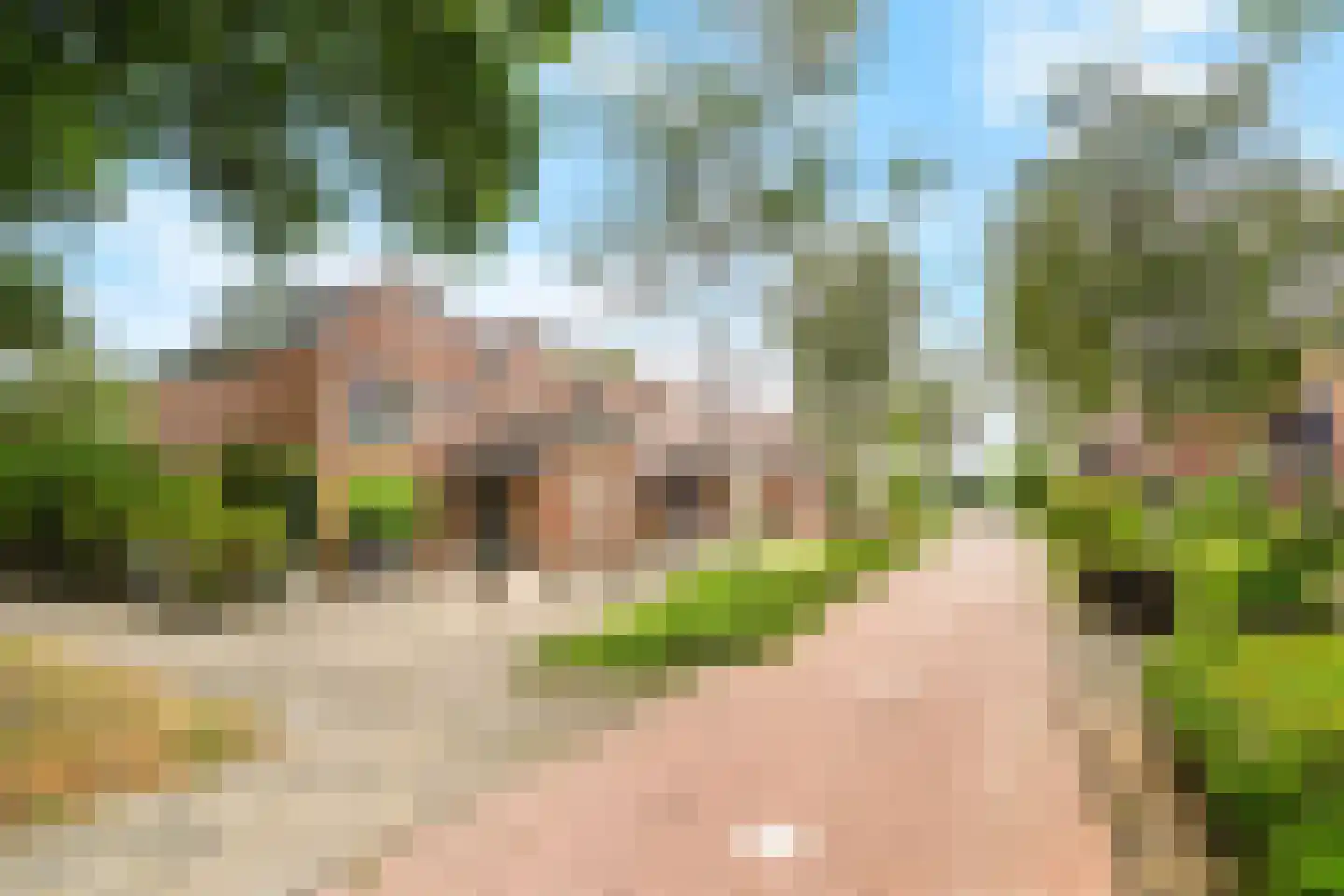 Boeier 43 Barendrecht thumbnail 34
