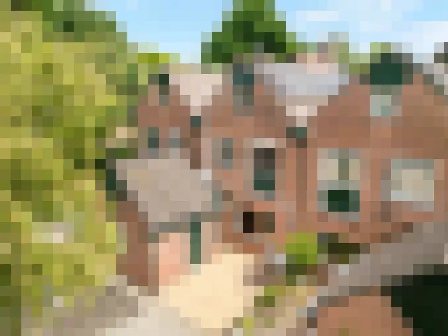 Boeier 43 Barendrecht thumbnail 35
