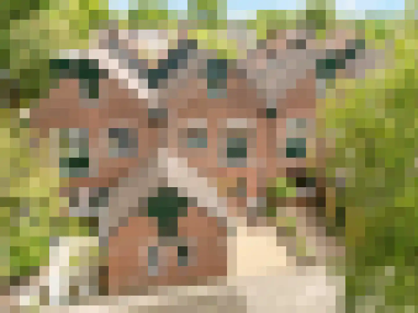 Boeier 43 Barendrecht thumbnail 36