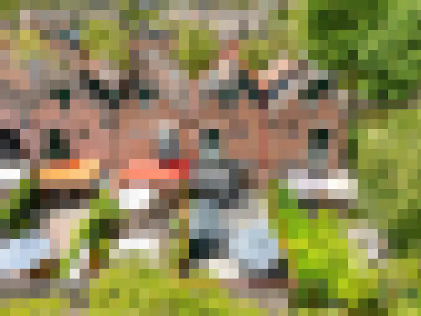 Boeier 43 Barendrecht thumbnail 38