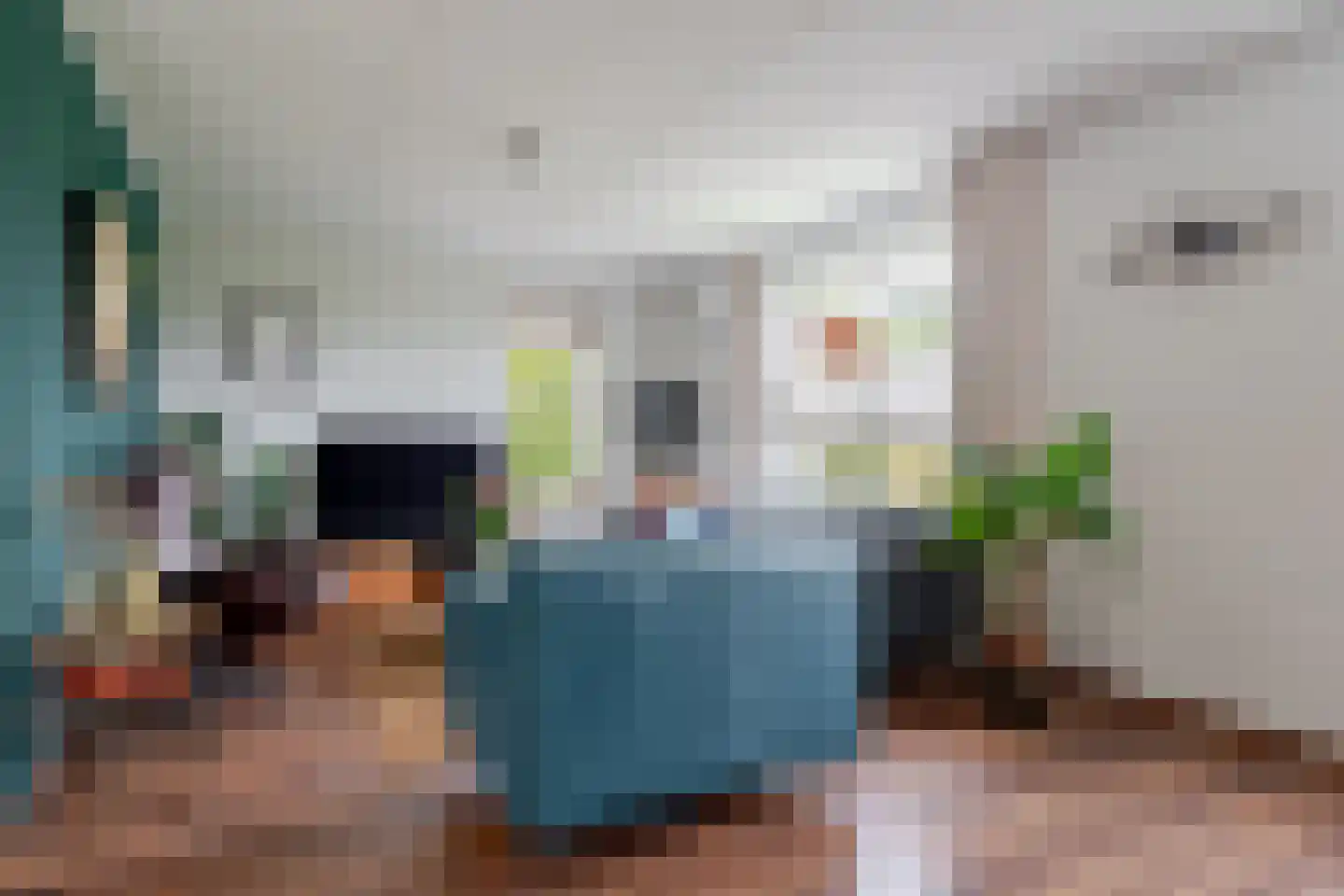 Boeier 5 Gorredijk thumbnail 13