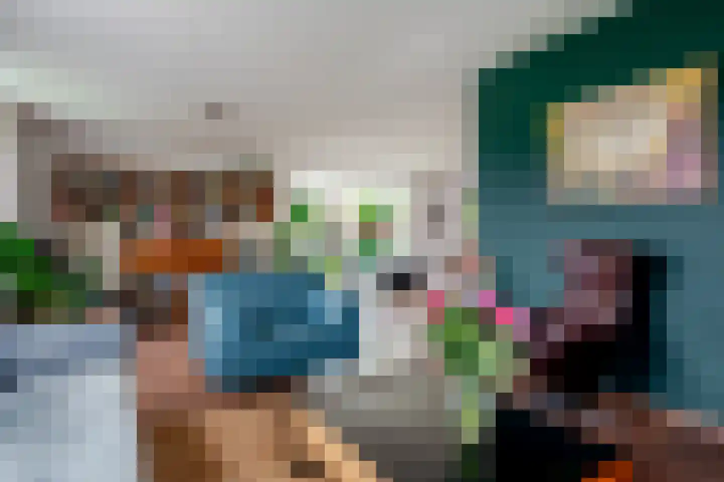 Boeier 5 Gorredijk thumbnail 14
