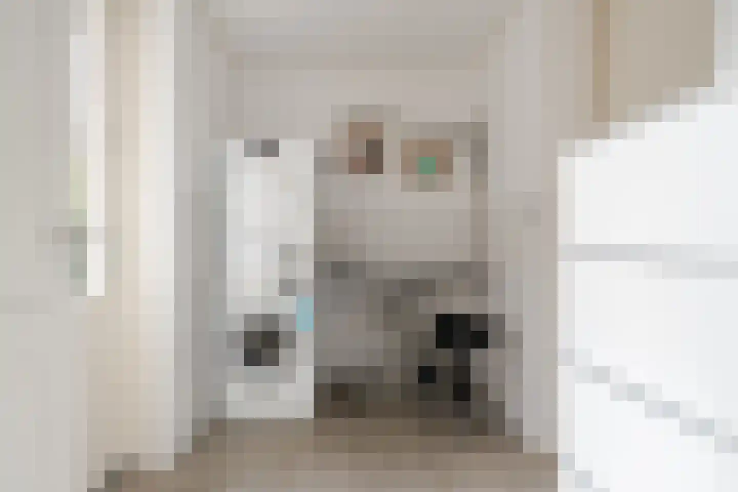 Boeier 5 Gorredijk thumbnail 21