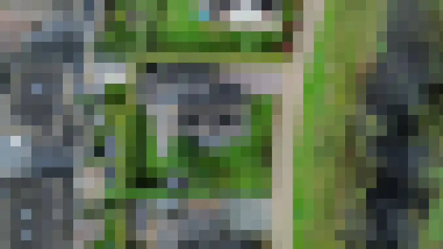 Boeier 5 Gorredijk thumbnail 39