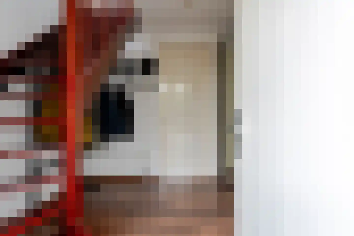 Boeier 5 Gorredijk thumbnail 8