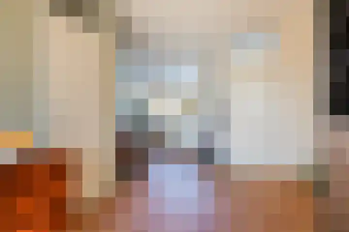 Boeier 5 Heerenveen thumbnail 10