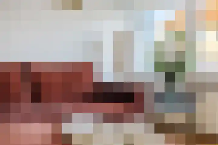 Boeier 5 Heerenveen thumbnail 12