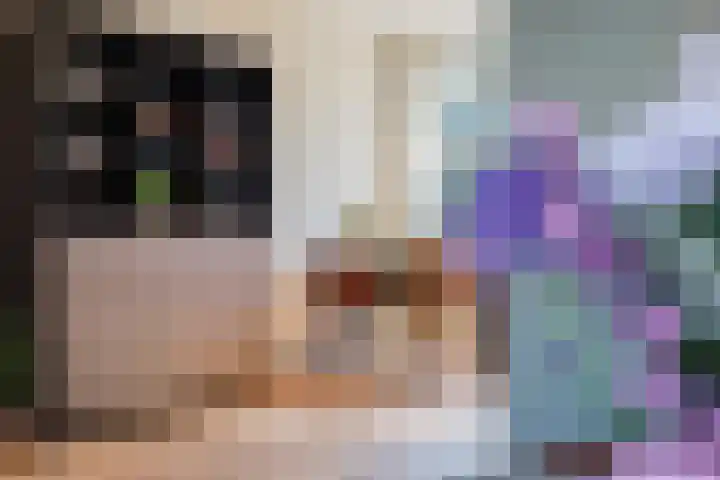 Boeier 5 Heerenveen thumbnail 15