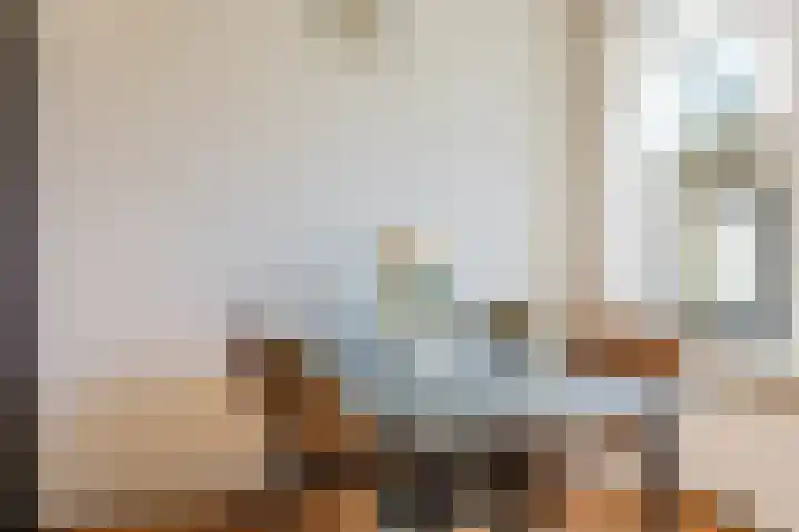 Boeier 5 Heerenveen thumbnail 16