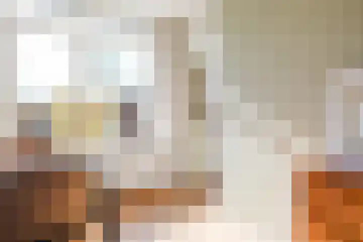 Boeier 5 Heerenveen thumbnail 18
